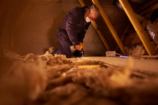 Best Insulation Materials and Products in Millcreek, UT